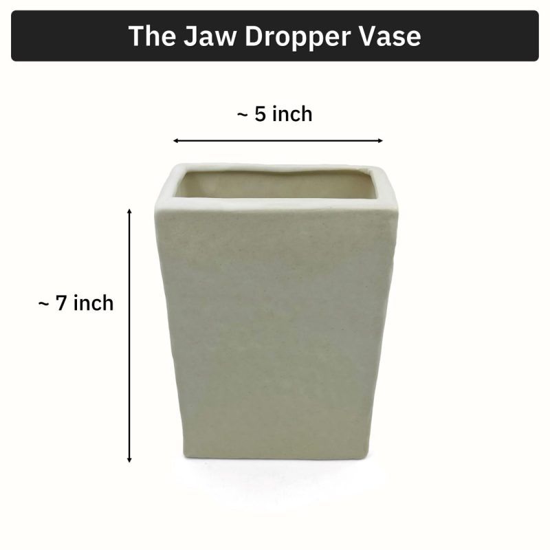 dimensions of jaw dropper ceramic face vase in matte finish